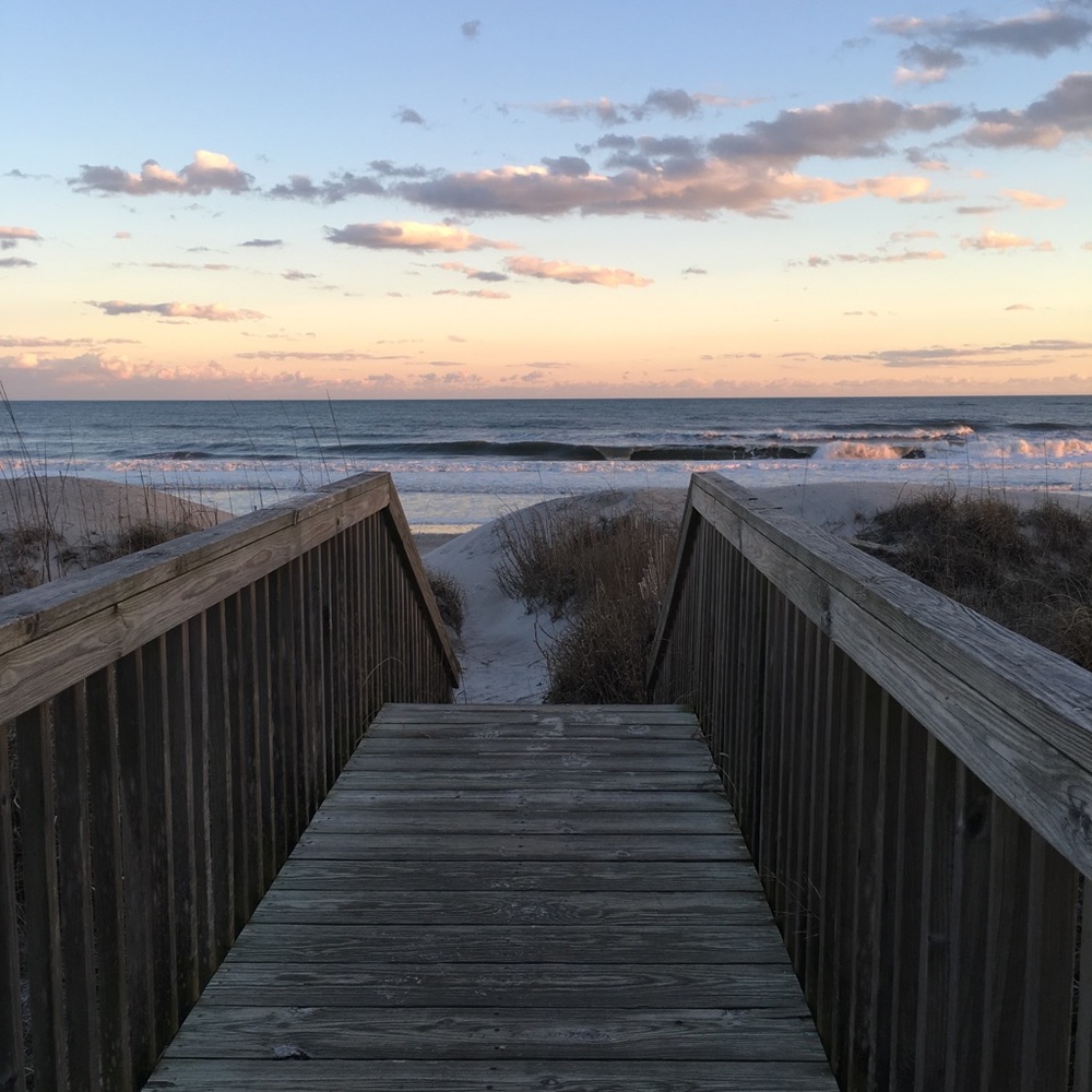 Meet your Posher, Abigail